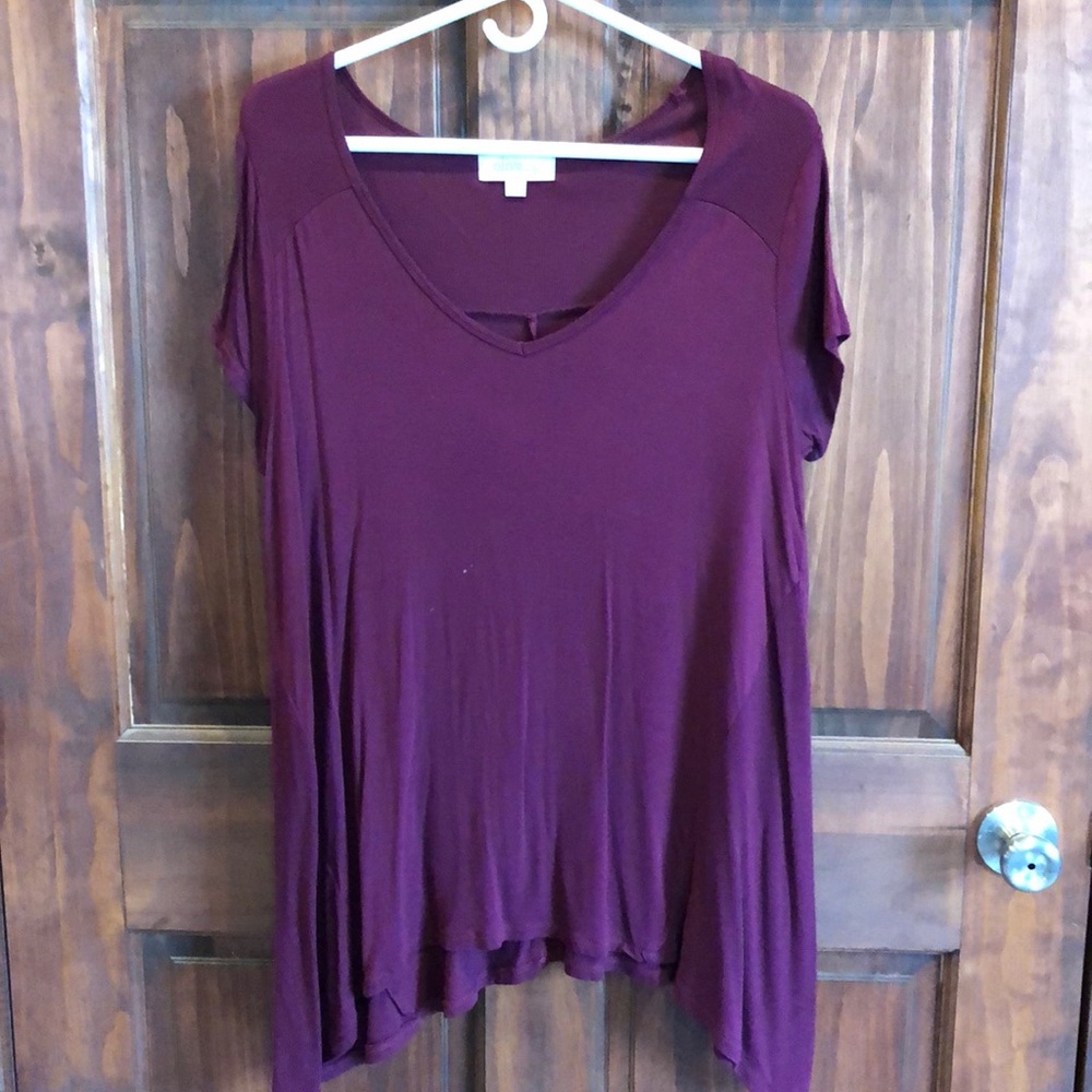 Tunic top